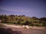 El Monte
